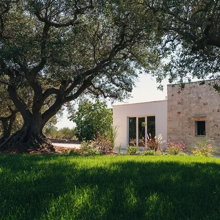 Helloapulia - Lamie Dell'ulivo With Private Infinity Pool Martina Franca